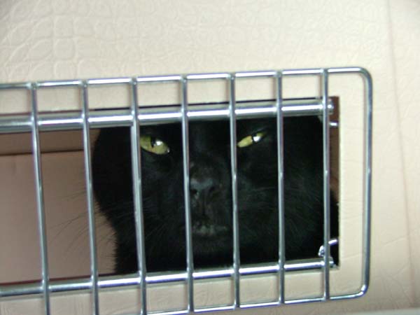 2005_0404_091848