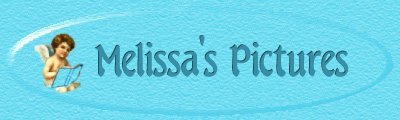 Melissa's Photo Album Banner