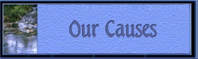 Our Causes Banner