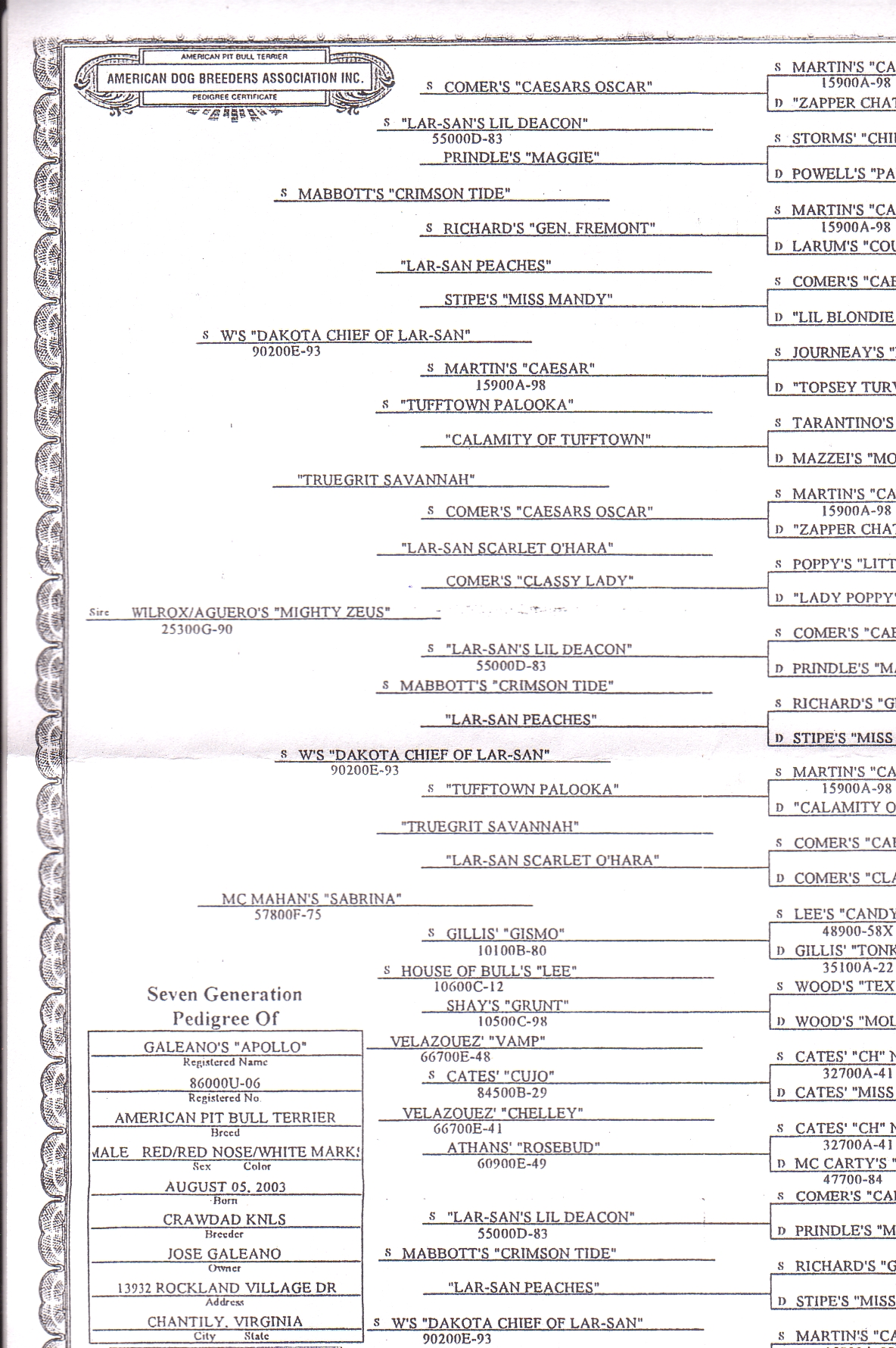 pedigree