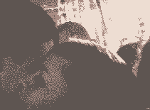 TE QUIERO TANTO,TANTO,TANTO...EL P�BLICO...