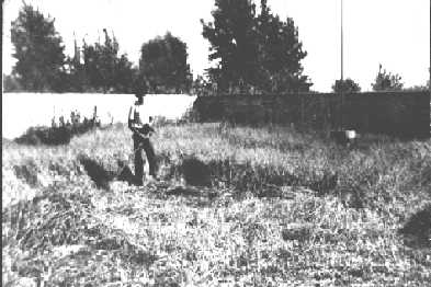FONDO 77.jpg (18550 bytes)