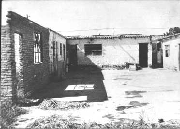 PATIO 77.jpg (14093 bytes)