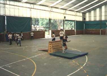 gimnasio1.jpg (13616 bytes)