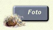 le foto degli iscritti. Attenzione, l'accesso � previa autorizzazione