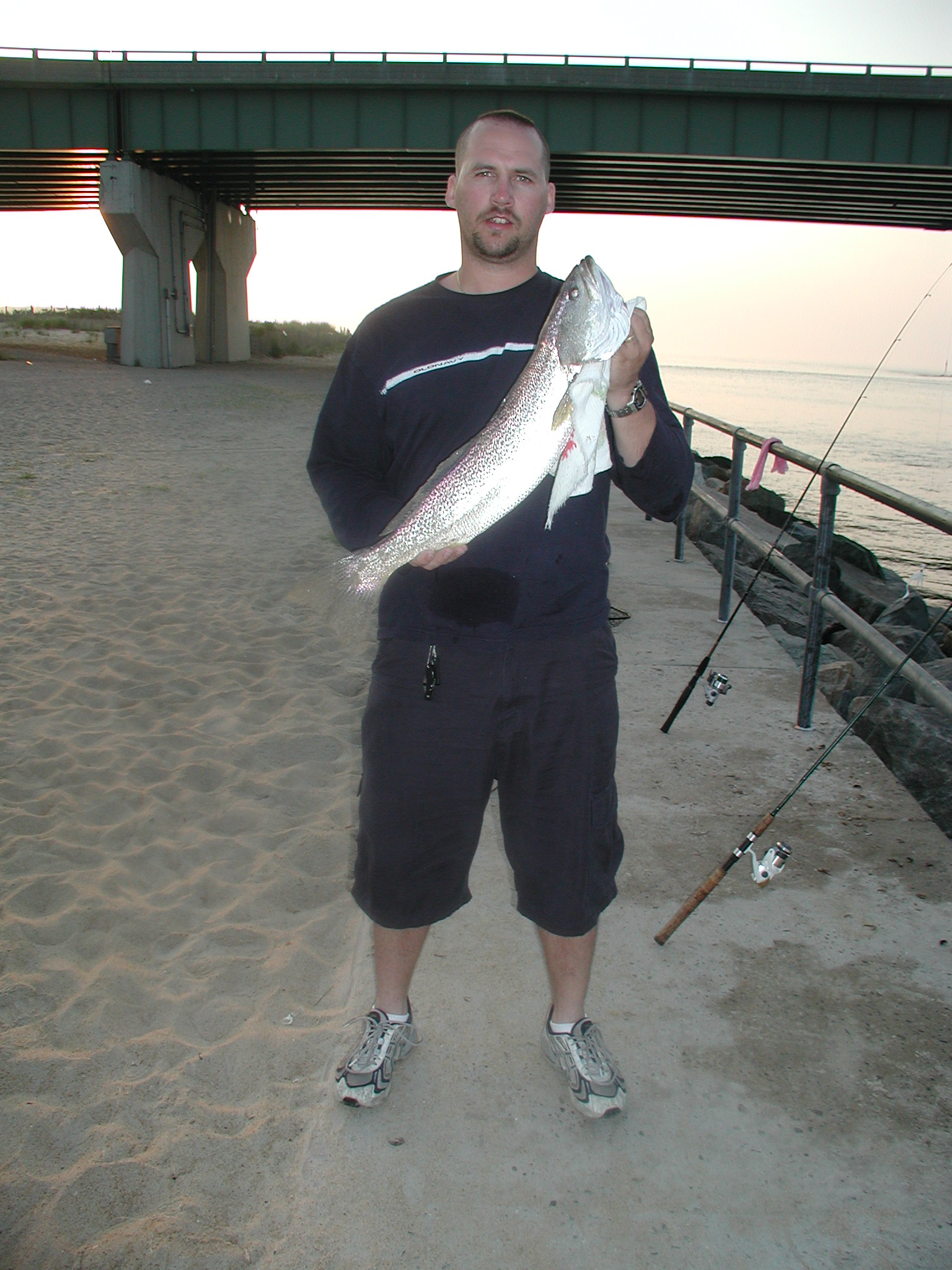 Sea Trout