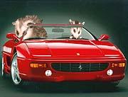 Aqui vemos a Awachindower de paseo con SU coche.