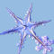 frost
