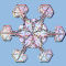 frost