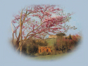 Spring Small></p>
 
<p align=