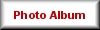 Insulator Photo Album album