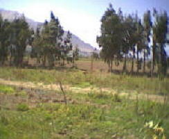 Lote 04, Condominio Runas Del Valle, Elqui