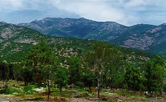 Parcela Melipilla