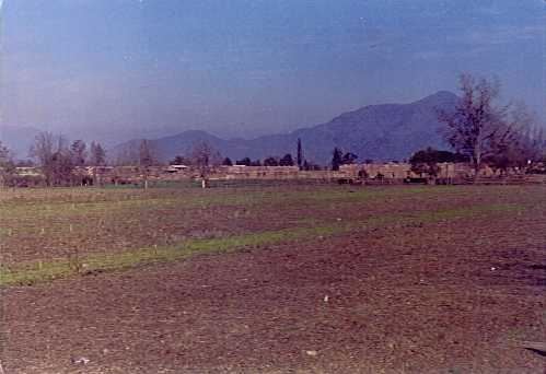 Parcela Y Agricola