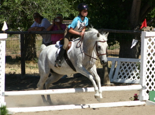 Showjumping