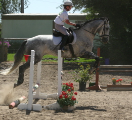 Mitch in air