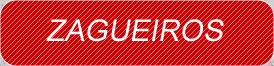 zaga