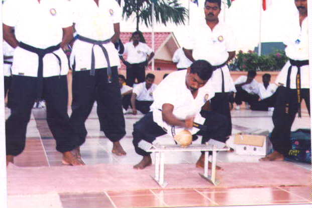 chop.jpg (29442 bytes)