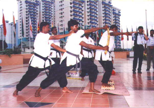 pic26.jpg (29857 bytes)