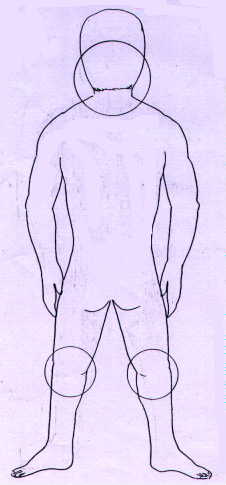 pic(n)9.jpg (11673 bytes)