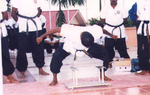 pic6.jpg (27749 bytes)