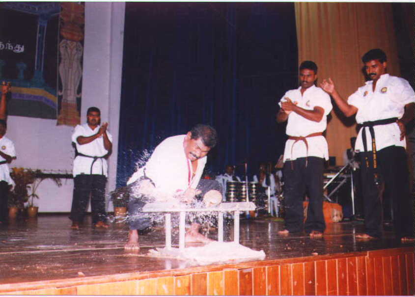 pic9.jpg (49358 bytes)