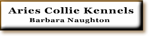 Click here to go to Aries Collies Website.