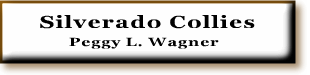 Click here to go to the Silverado Collies website.