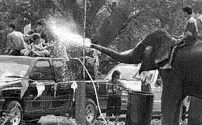 Songkran.