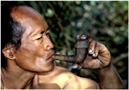 Smoking Mabri man.