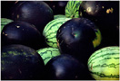 Watermelons.