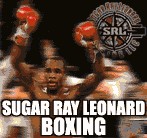 The Fight Game