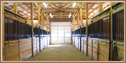 Interstate Stables in Wellington, Colorado