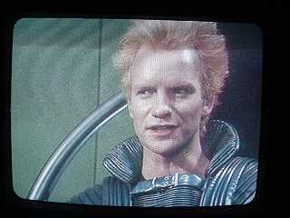 Sting!