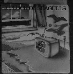 A Flock of Seagulls