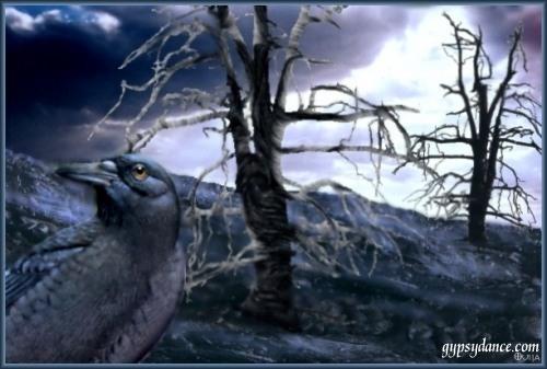 "Raven"