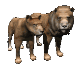 Royal Lion's