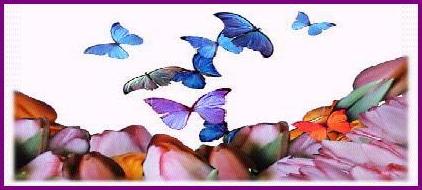 "Butterfly"