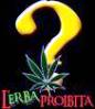 L'erba proibita di Daniele Mazzocca e Cristiano Bertone - Documentario