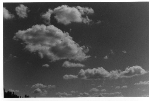 Twas a cloudy sky, in the middle of July