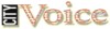 The City Voice - Wellington's independent newspaper - read by 40,000 weekly.