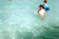 On our last day here, we discovered a nearby beach with still waters for swimming, and a few hundred friendly fish!