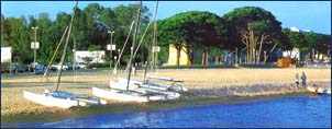 Barcos