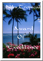 nik's award
