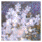 avatamine2.gif (3548 bytes)