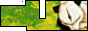 buteng.GIF (47916 bytes)