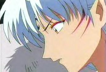 Nice profile pic...grrrr