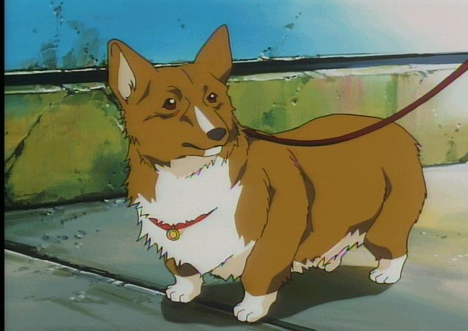 Ein