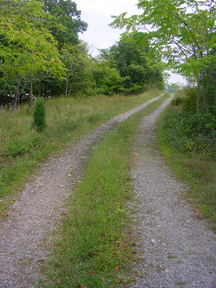 Service Road