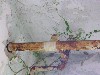 Rusty Pipe and Vine